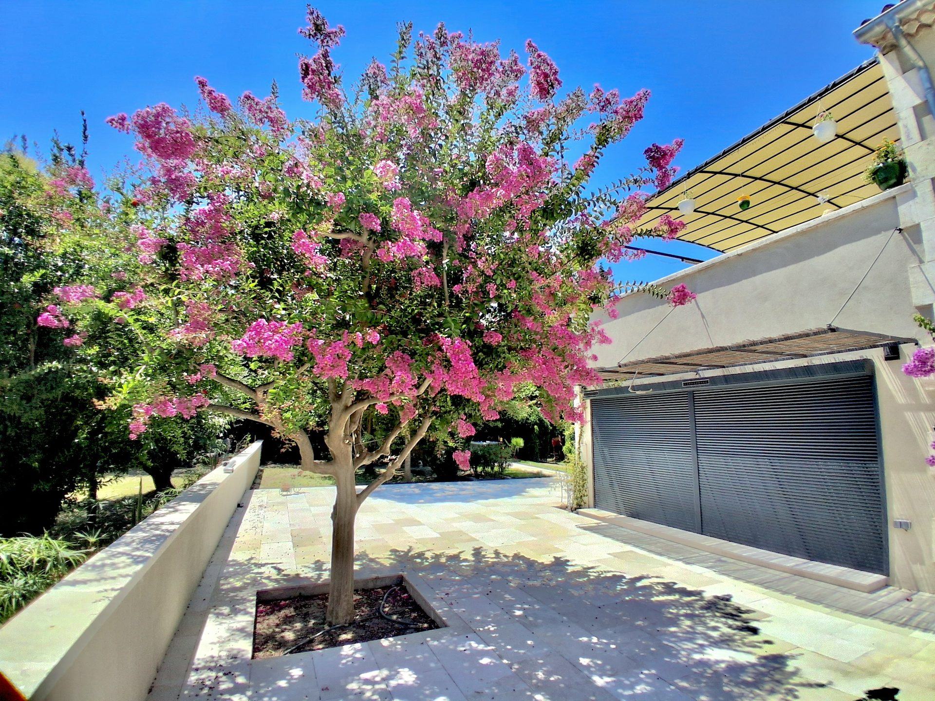 Jardin paysager avec lilas des Indes en fleurs